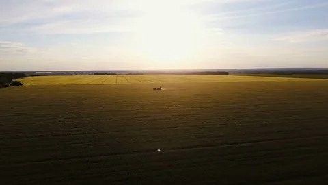 4K aerial view. Tractor is working on grain field at sunset Stock Footage 77417197