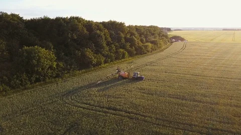 4K aerial view. Tractor is working on grain field at sunset 動画素材 77418142