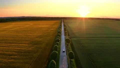 4K Aerial View of Tree Lined Country Road at Sunrise Through Fields Stock Footage 327408453