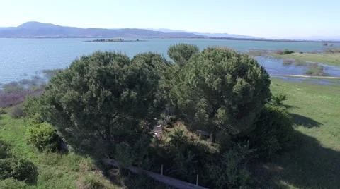 4k Aerial View of Trees and Lake, Izmir Turkey. Stock Footage 62964737