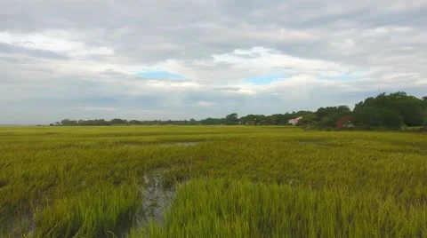 4k Aerial of Wet Grass Lands in Charleston South Carolina Stock Footage