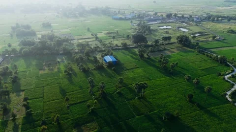 4K Aerial: Winding River Through Lush Green Fields - Rural Morning Tranquility. Stock Footage 318725477