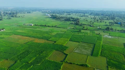 4K Aerial: Winding River Through Lush Green Fields - Rural Morning Tranquility. Stock Footage 318725732