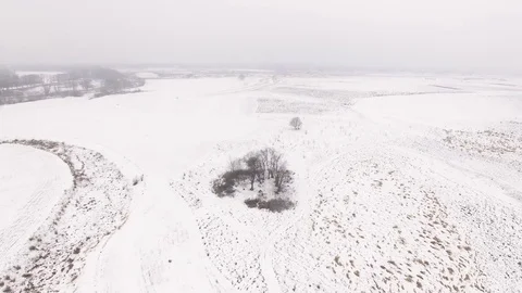   4K Aerial. Winter  fly  with camera inclination over field in snow and trees.  Stockbeeldmateriaal 72258321