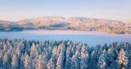 4K Aerial Winter Nature Nordic Landscape Snowy Forest And Lake On Sunset Stock Footage