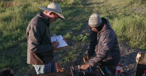 4K Agronomist/farmer checking nutrient levels in the vegetable leaves Stock Footage 64695530