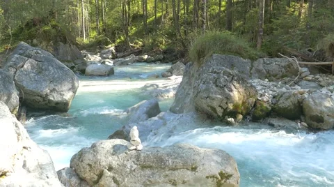 4K Alps Berchtesgaden National Park Ramsau Zauberwald Nature Learning trail Stock Footage