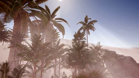 4k amazing Erg chebbi dunes in the sahara desert, morocco Stock Footage