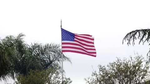 4K American Flag Behind Trees Stock Footage 74219330