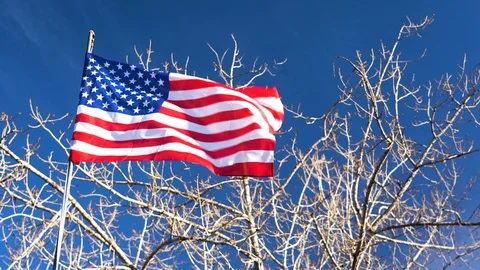 4K American Flag Slow Motion in Wind Blue Sky Tree Stock Footage 100272568