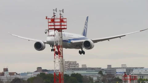 4K ANA Boeing 787-8 JA824A Landing at Osaka Itami Airport Japan Stock Footage 337116239