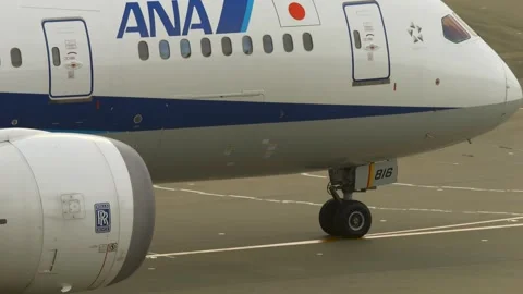 4K ANA Boeing 787-8 JA816A Taxiing on Taxiway - Tokyo Haneda Airport Japan Stock Footage 342019355