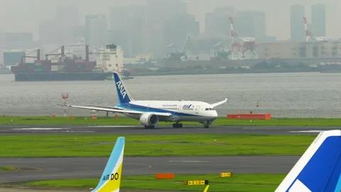 4K ANA Boeing 787-8 JA816A Taking Off at Tokyo Haneda Airport Japan Stock Footage 342021624