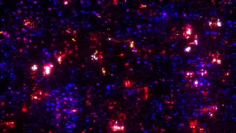 4k Animated Abstract Digital Texture Видео 155054525