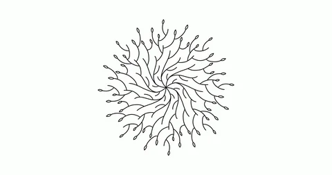 4K Animated circle black and white floral mandala pattern drawing. Artistic hand Stock Footage 116304575