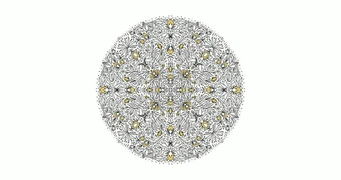 4K Animated circle black and white floral mandala pattern coloring. Artistic Stock Footage 116339076
