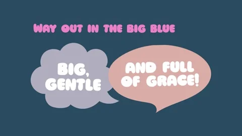 4K animated educational introducing whale unique characteristics. Video stock 311370684