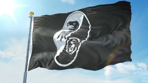 4k animated loop of a waving flag of the Bundesliga soccer team Freiburg Black Stock Footage 143348458