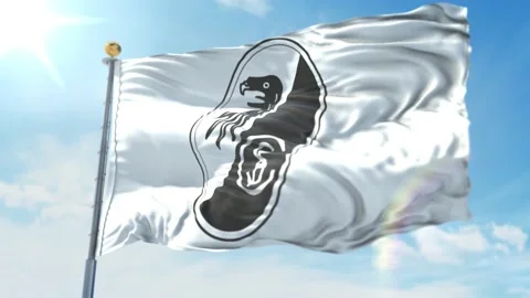 4k animated loop of a waving flag of the Bundesliga soccer team Freiburg White Stock Footage 143348993