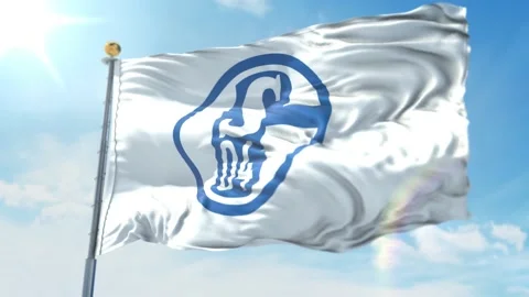 4k animated loop of a waving flag of the Bundesliga soccer team Schalke White Stock Footage 143350117
