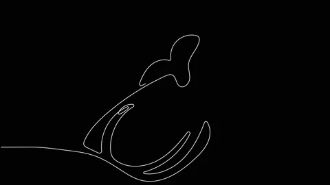 4k animated self drawing of continuous line drawing Stock Footage 200857447