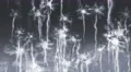 4K Animation Abstract motion background, shine, fire, abstarct particles, loop. 4k or 4k+ Resolution