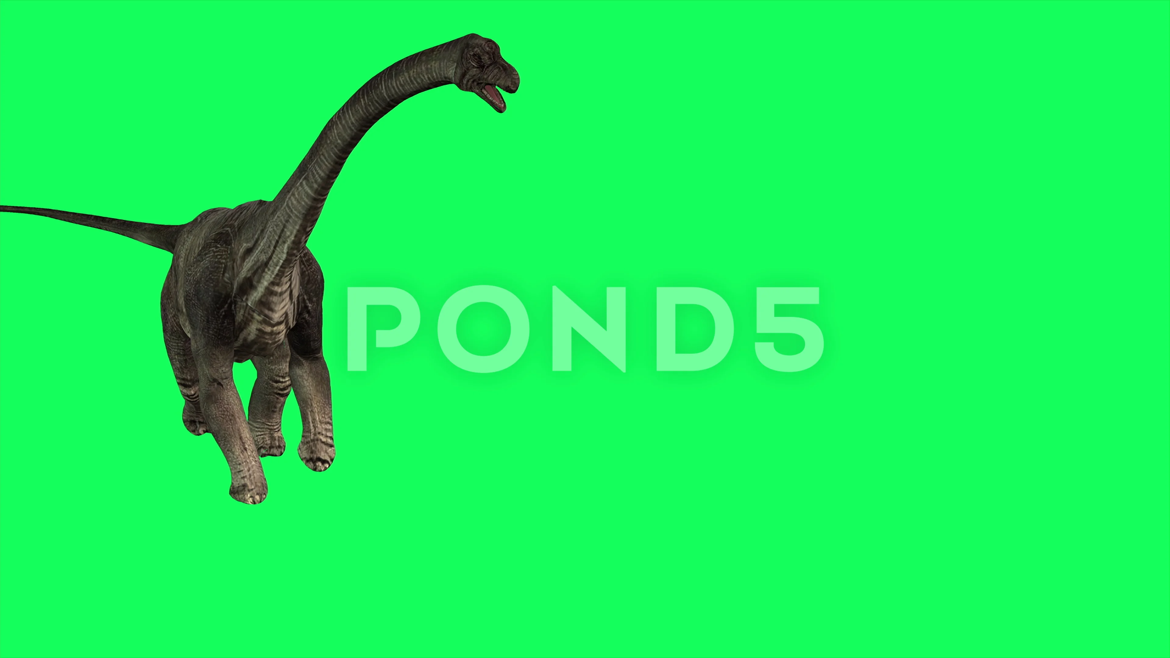 moving animations of dinosaurs
