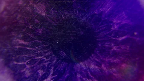 4k animation of detailed blinking eye revealing map inside the pupil. Stock Footage 145011034