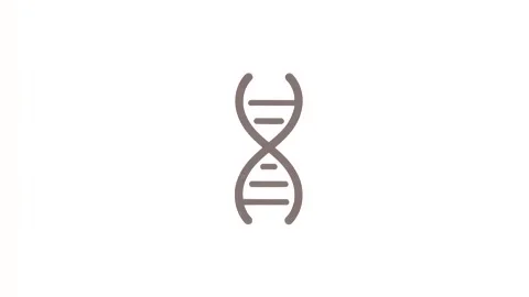 4k animation of the DNA code isolated on a white background Stock Footage 287873961
