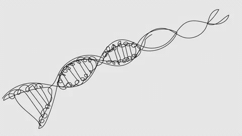 4K animation of drawing DNA code Video stock 156419697