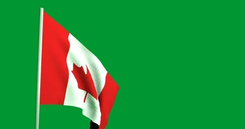 4K Animation of a Flag Waving in the Wind on a Green Background - Canada Stock Footage 96467436