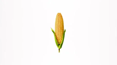 4k animation icon of corn cob isolated on white background Stock Footage 287340258
