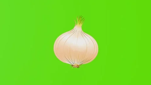 4k animation of the onion icon isolated on a green screen Stock Footage 287873528