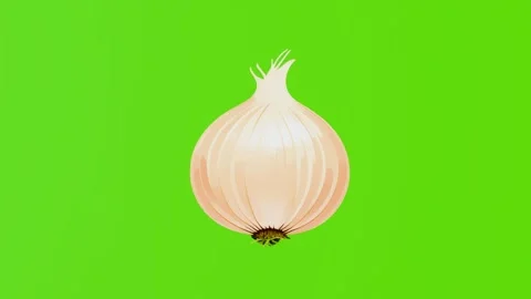 4k animation of the onion icon isolated on a green screen Stock Footage 287997729