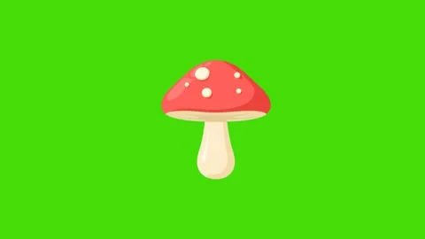 4k animation of red fly agaric mushroom isolated on green screen Stock Footage 287998960