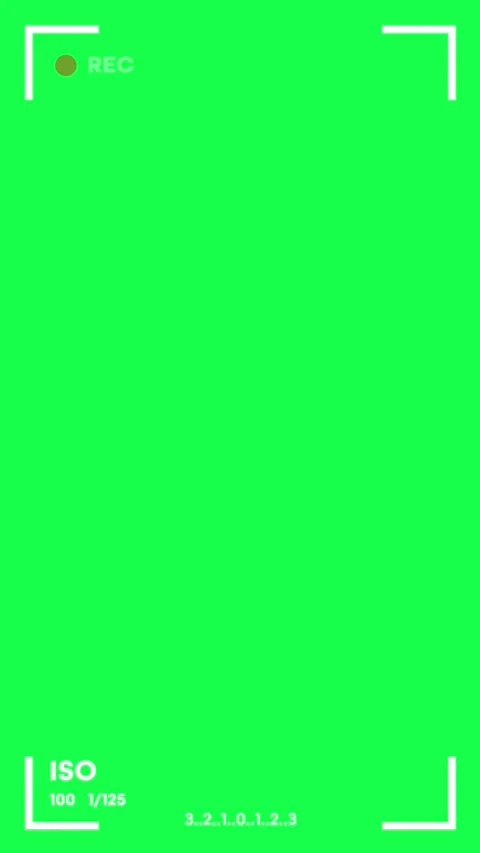 4K animation simulating a camera recording screen with blinking REC text Video stock 311442722