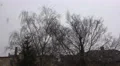 4k April snow treetops and roofs backstreet idyll city 4k or 4k+ Resolution