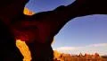4K Arches 23 Windows Section Sunset Double Arch Utah USA 4k or 4k+ Resolution