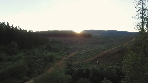4k Areal view of a sunset in forest tree agriculture mountain landscape. Stock Footage 199620340