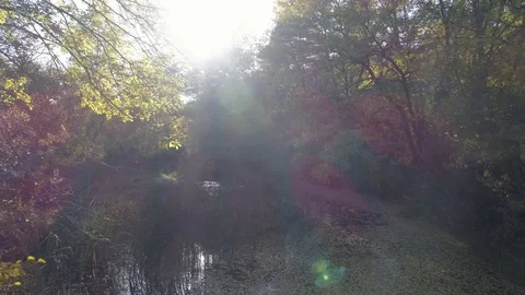 4k Arial drone footage of epic river tropical lagoon at sunset. Stock Footage 82028267