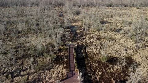 4K Arial Drone Video - Drone shot over swamp land in Texas in winter Stock-Footage 239469686