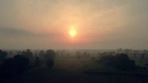 4k arial view of rice fields and sugarcane fields. Stock Footage 159518676