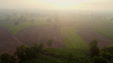 4k arial view of rice fields and sugarcane fields. Stock Footage 159518875