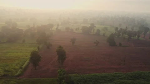 4k arial view of rice fields and sugarcane fields. Stock Footage 159519230