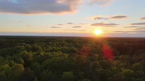 4k Ariel Sunset as drone drops below tree line Stock Footage 170802355