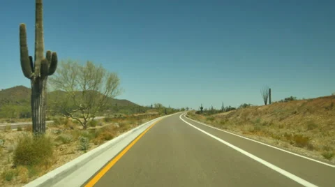 4K Arizona Desert Driving Plate 03 Saguaro Cactus in Sonoran Desert Stock Footage