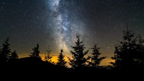 4K Astro Time Lapse Of Milkyway And Stars Over Silhouetted Spruce Tree Forest Stock Footage 123472308