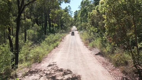 4K Australian Equatorial Forest Shot From A Drone Stock Footage 258874403
