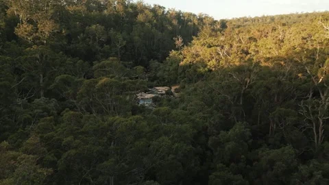 4K Australian Equatorial Forest Shot From A Drone Stock Footage 259972332