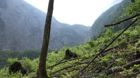 4k Austria alp meadow pathway pan mountains and lake Stock Footage 51567292